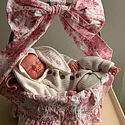 Meilani joined the competition — help win amazing prizes! newborn, baby, sleeping, basket, bow, pink, floral, knitwear, cozy, infant, cute, clothing, fabric, soft, resting, portrait, indoors, peaceful, ruffle, headwear