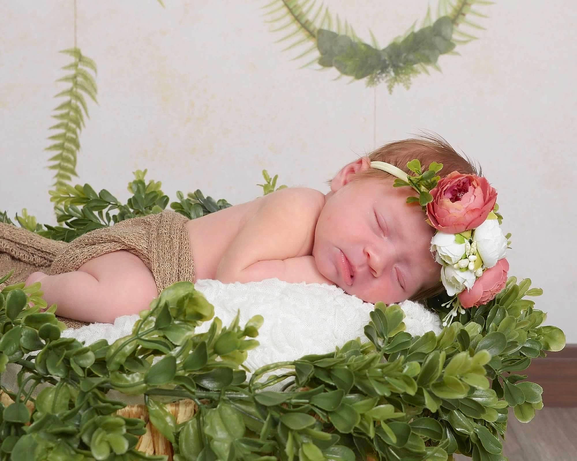 Emersyn joined the competition — help win amazing prizes! arm, baby, baby_sleeping, baby_toddler_clothing, comfort, fashion_accessory, flower, grass, headband, headpiece, headwear, linens, pattern, person, petal, plant, rose, rose_family, rose_order, skin