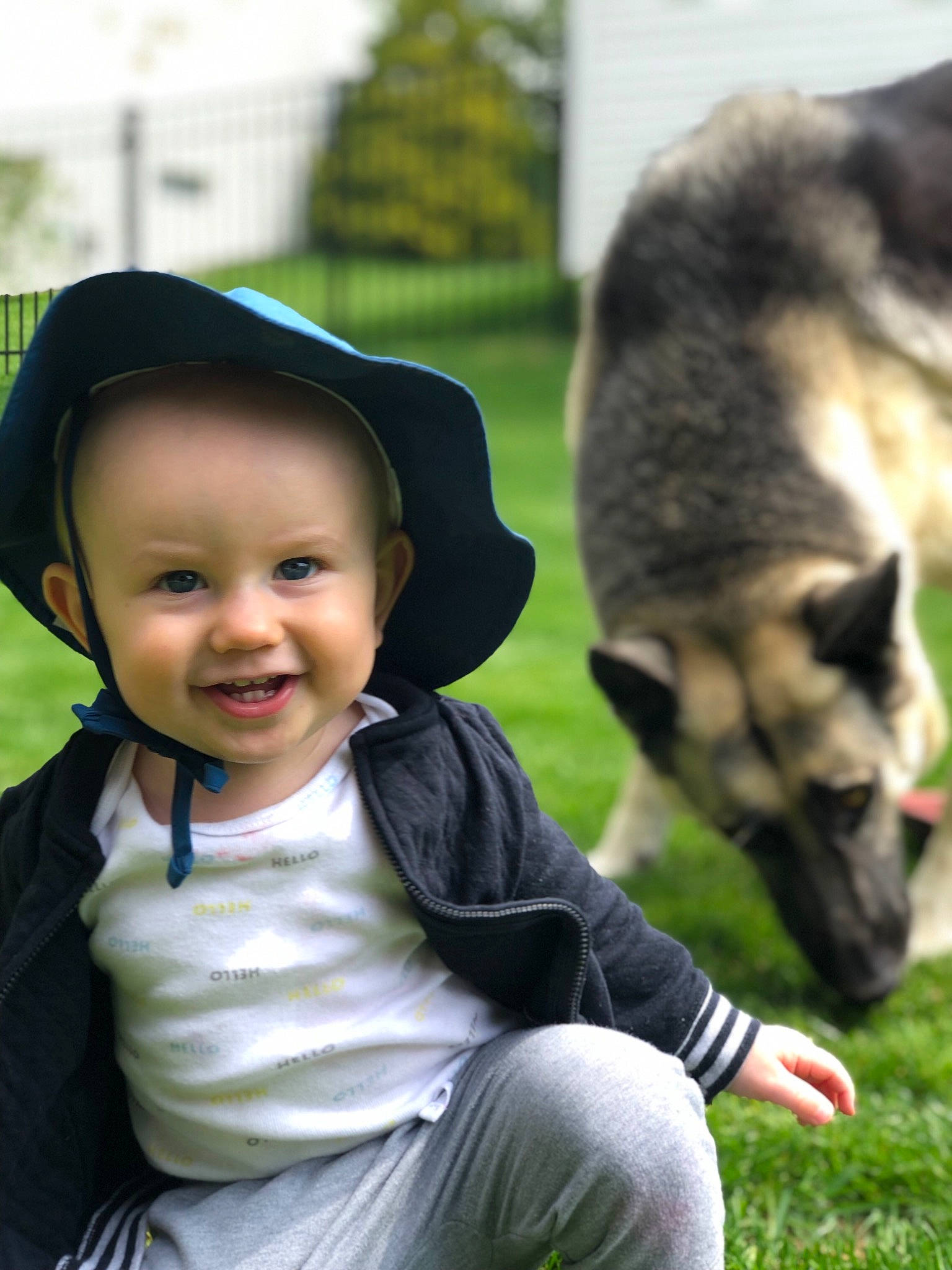Ellis is registered to the contest to win money with this photo: baby, canidae, carnivore, child, companion_dog, dog, dog_breed, ear, happy, headwear, joy, laugh, people, person, plant, smile, toddler