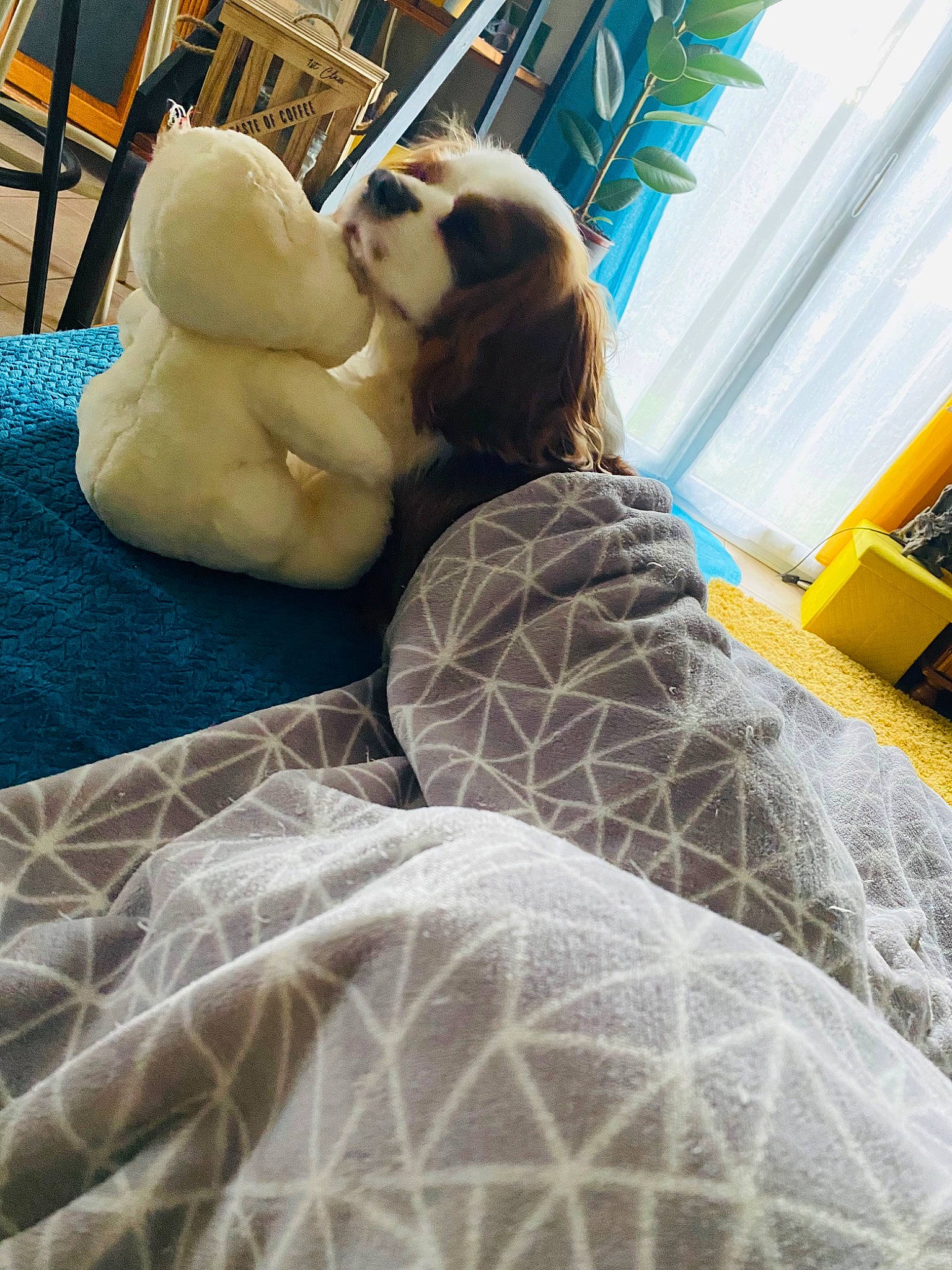 Woody a rejoint le concours — aidez-le/la à gagner de superbes lots ! art, blue, comfort, eyewear, fun, fur, leisure, linens, pattern, recreation, romance, sculpture, statue, tree, visual_arts