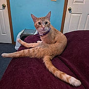 Jellybelly joined the competition — help win amazing prizes!