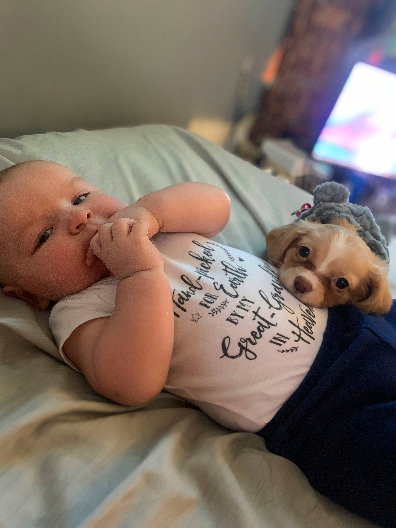 Derek is registered to the contest to win money with this photo: abdomen, arm, baby, bed, child, comfort, couch, hand, human_body, human_leg, joint, linens, mammal, muscle, person, sitting, skin, television, toddler, trunk