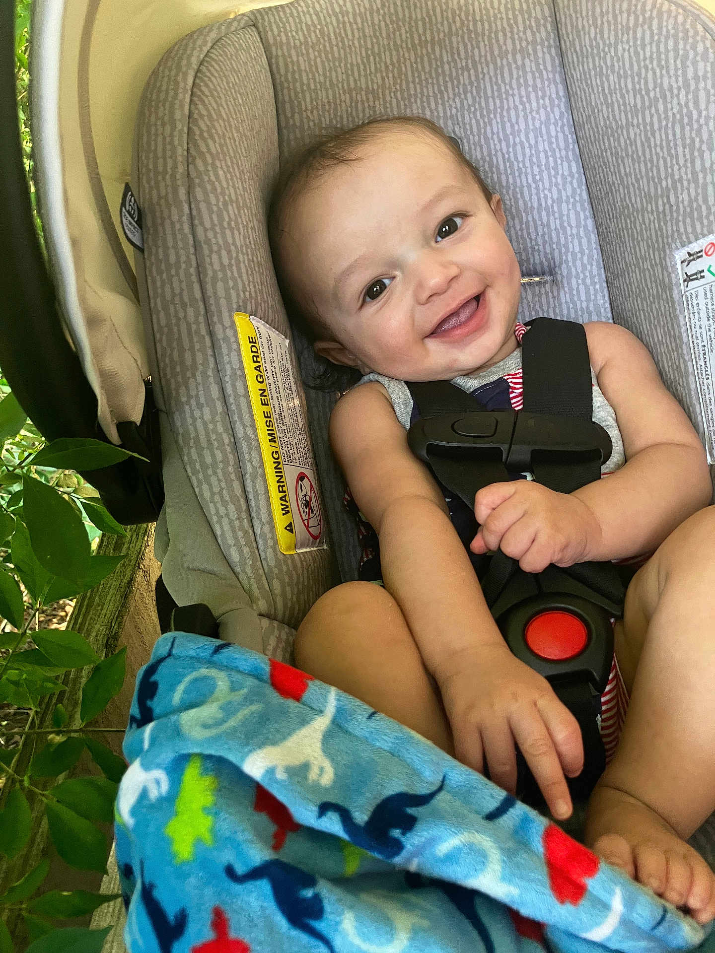 Jaxon joined the competition — help win amazing prizes! baby, car_seat, blanket, dinosaur_pattern, smiling, child, safety_harness, happy, infant, seat, greenery, outdoor, cute, portrait, child_seat, foot, hand, clothing, secure, baby_boy