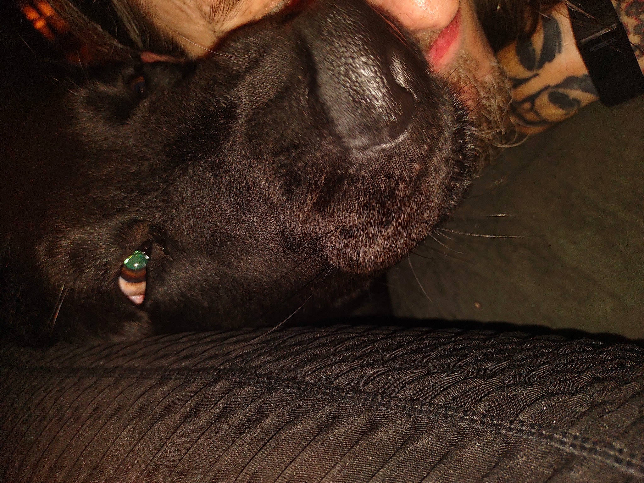 Crown Royal is registered to the contest to win money with this photo: ankle, carmine, darkness, denim, flash_photography, flesh, flooring, foot, fun, fur, human_leg, pattern, rock, room, shadow, sitting, soil, thigh, wood