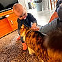 Oggy participe au concours pour gagner de l'argent avec cette photo : baby, cat, indoor, carpet, pacifier, person, furniture, wooden_cabinet, television, floor, sock, hand, pet, tabby_cat, adult, interaction, home, cozy, tiled_floor, casual_clothing