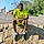 Young R.