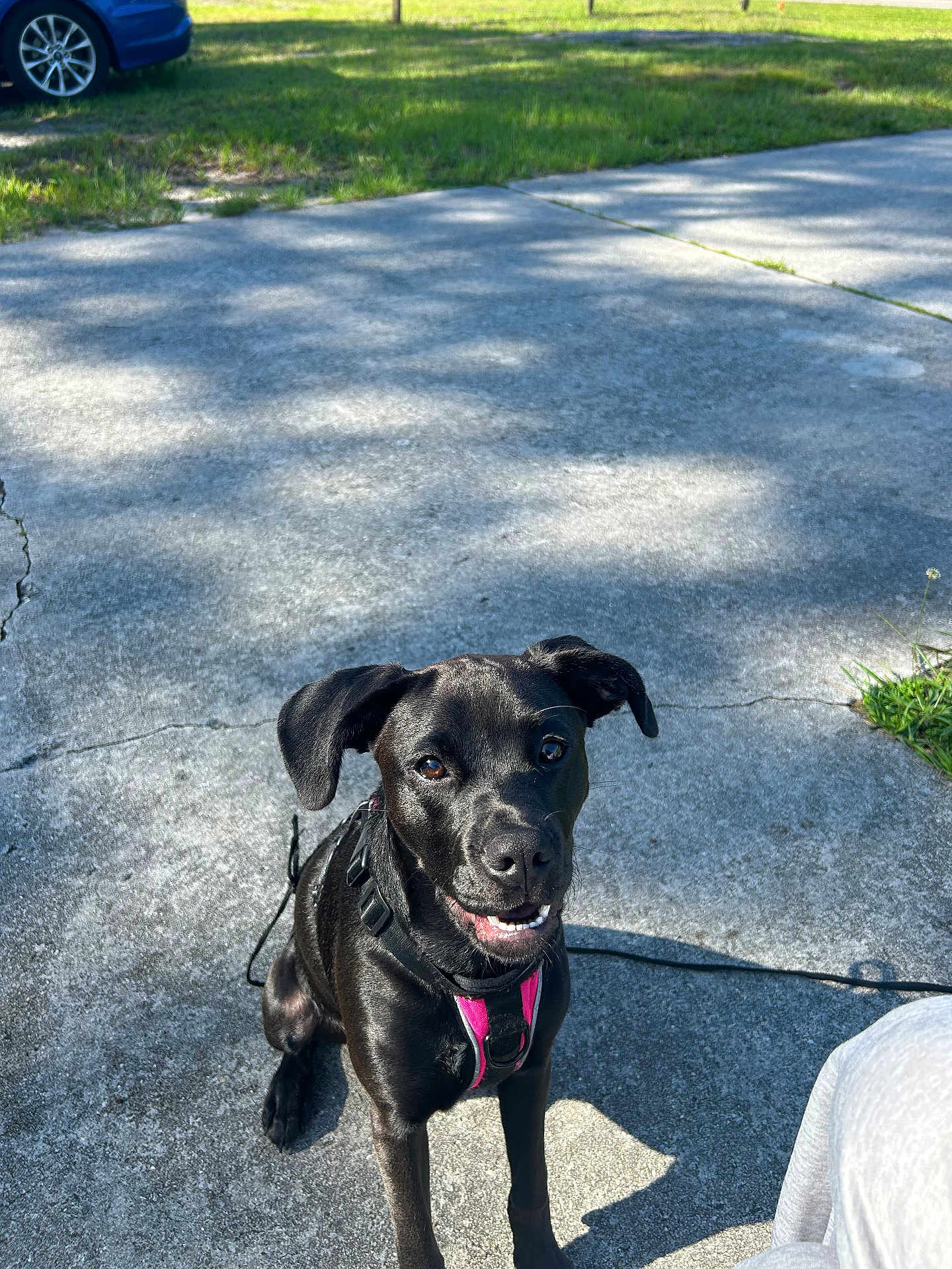 Luna B