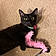 Binx