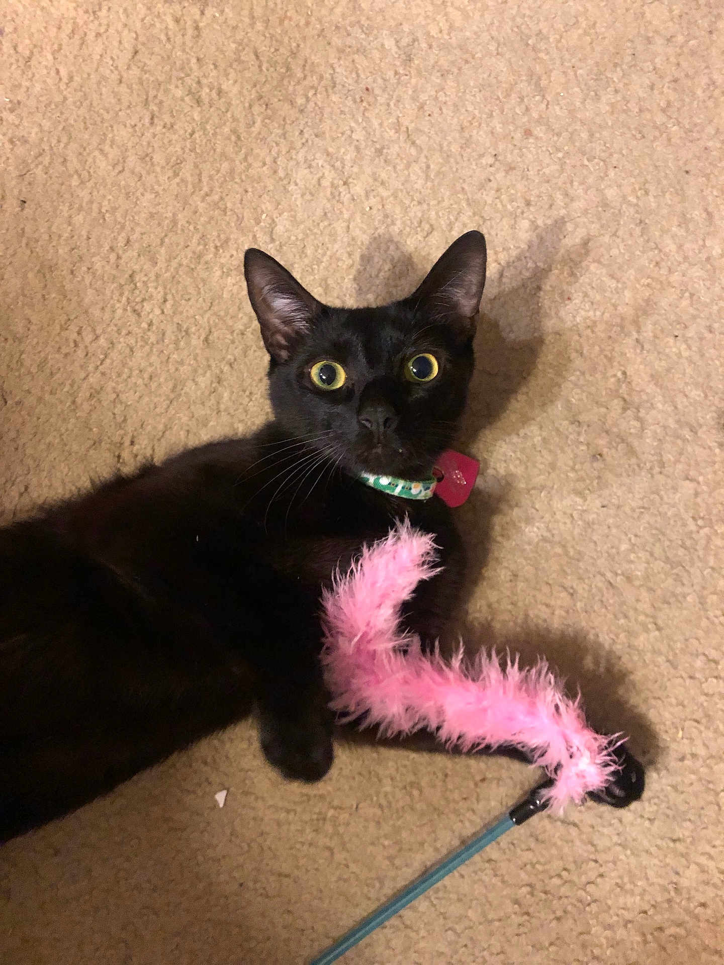 Binx