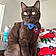 Oliver