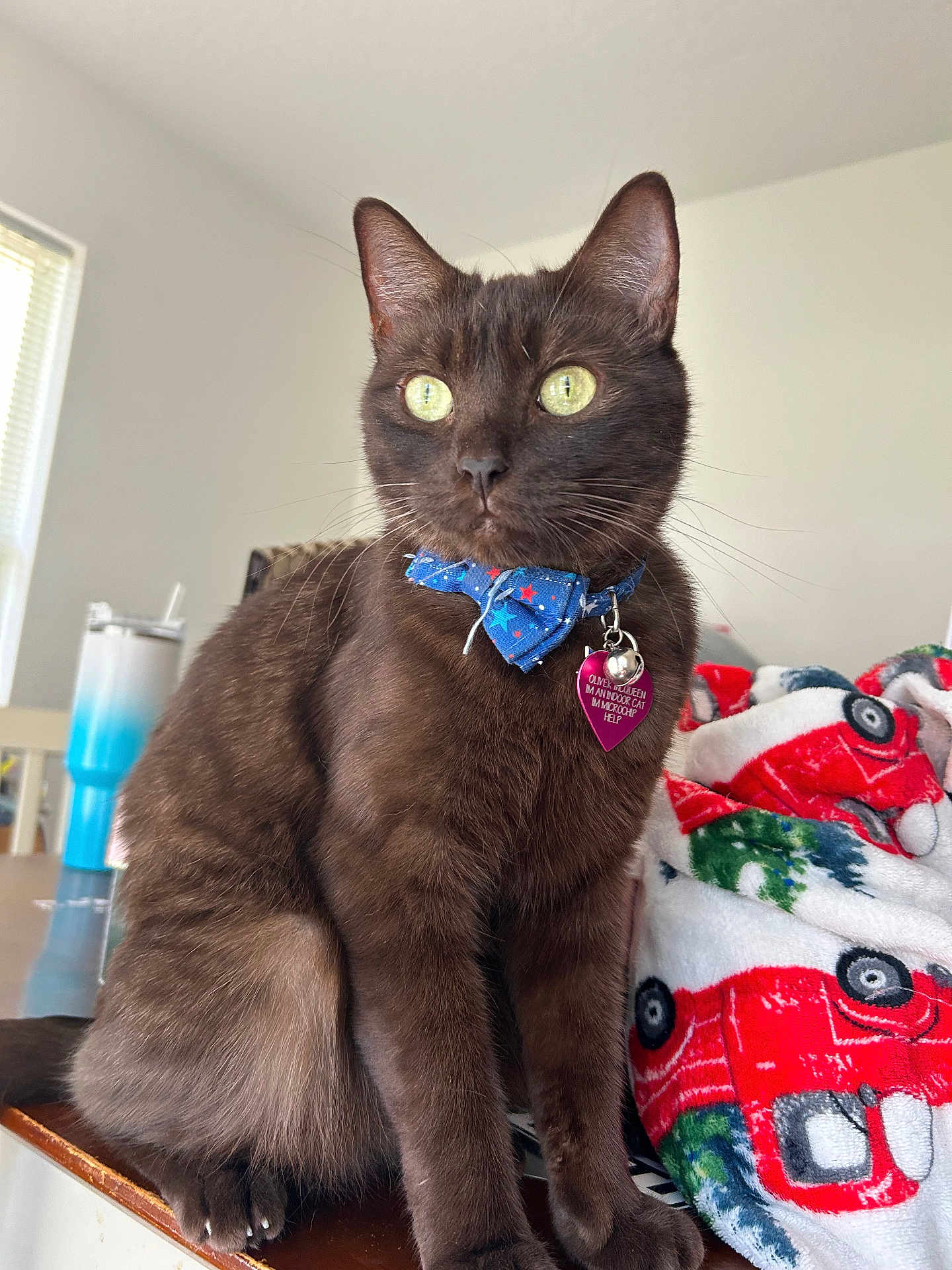 Oliver