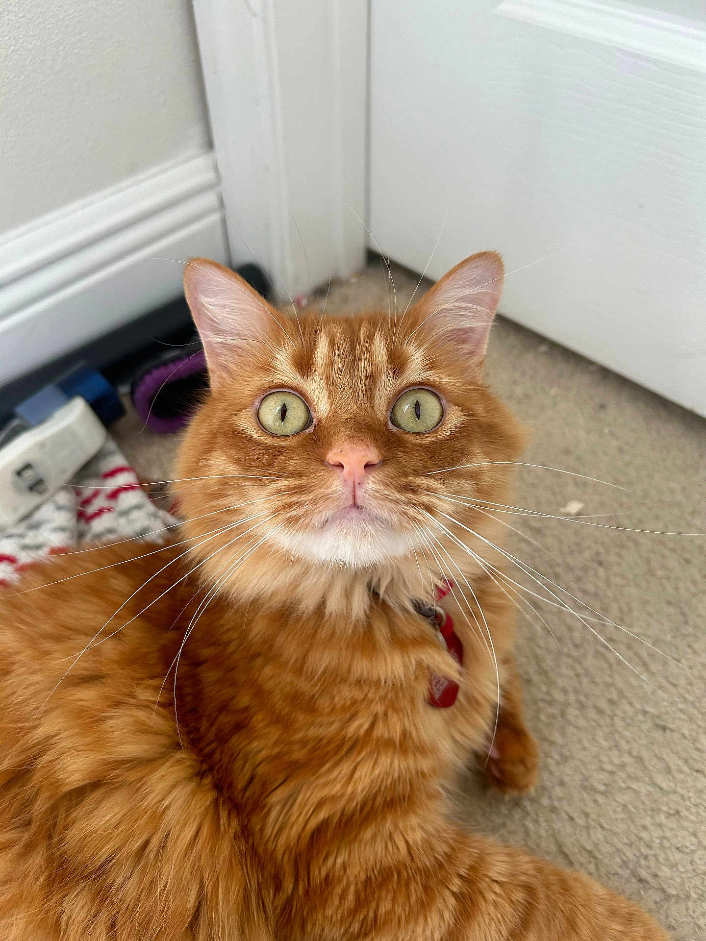Alvin