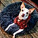 Shiloh