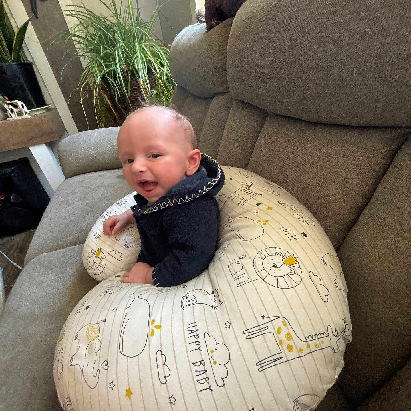 Sevyn joined the competition — help win amazing prizes! baby, pillow, sofa, smiling, indoor, plant, window, child, happy, cushion, clothing, face, person, home, furniture, animal_print, cute, portrait, infant, cozy