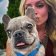 Frank joined the competition — help win amazing prizes! blonde_hair, blue_harness, close_up, collar, dog, ears, face, french_bulldog, grass, kissing, leash, outdoor, person, pet, portrait, selfie, smiling, tongue, trees, woman