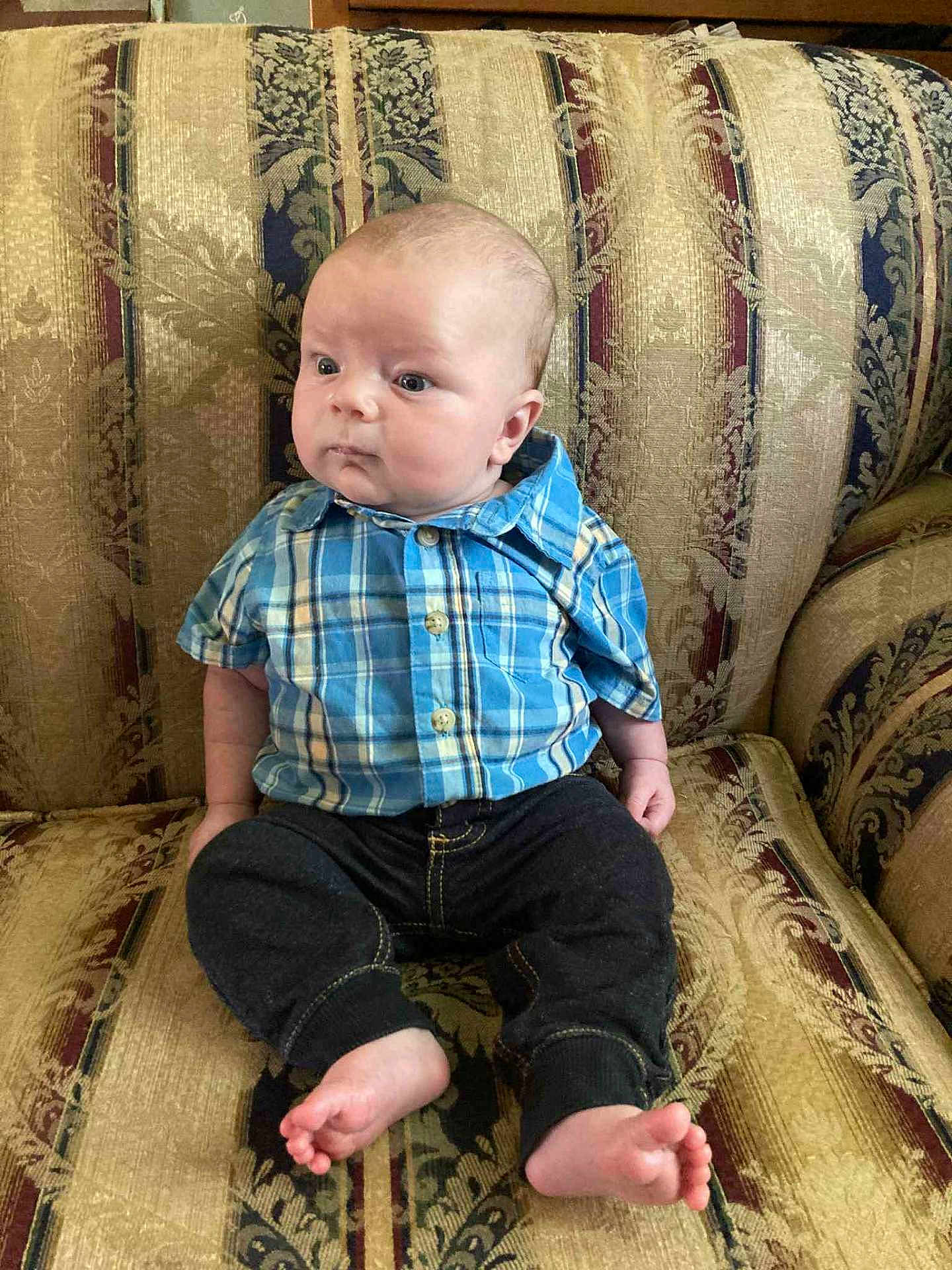 Sammy joined the competition — help win amazing prizes! baby, child, infant, plaid_shirt, blue_shirt, black_pants, barefoot, sofa, upholstery, patterned_fabric, seated, indoor, person, cute, young, portrait, furniture, home, expression, serious