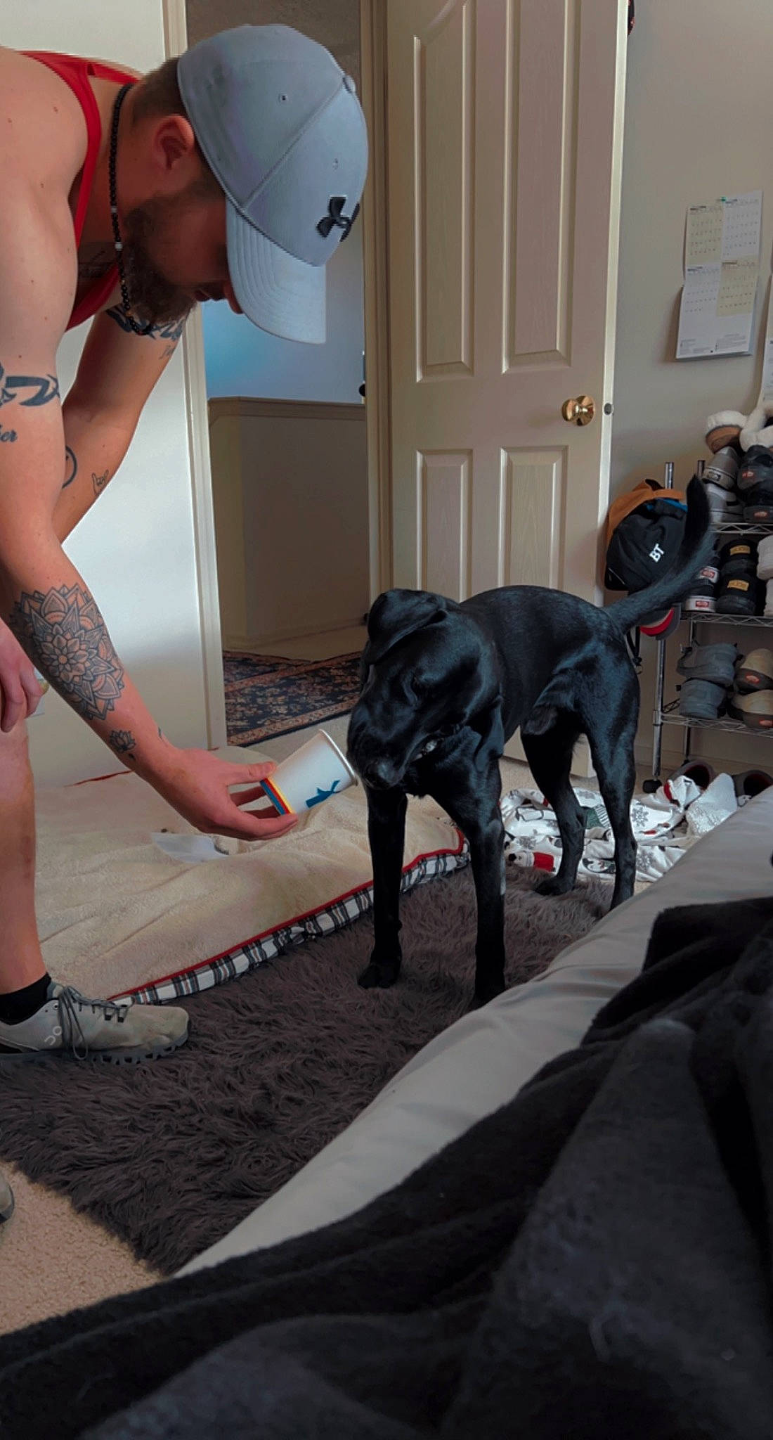 Oakley is registered to the contest to win money with this photo: brassiere, canidae, carnivore, companion_dog, dog, dog_breed, door, eyewear, fawn, flooring, great_dane, grey, human_leg, knee, personal_protective_equipment, sporting_group, swimming_pool, swimwear, thigh, underpants