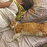 child, sleeping, bed, blanket, pillow, cat, orange_cat, white_cat, fur, resting, indoor, cozy, cartoon_pillow, human, animal, cute, peaceful, companion, soft, relaxation