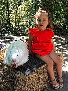 Alicia participe au concours pour gagner de l'argent avec cette photo : adaptation, baby_toddler_clothing, carnivore, child, companion_dog, dog_breed, fawn, fun, fur, grass, happy, livestock, people_in_nature, person, pink, plant, sitting, snout, terrestrial_animal, toddler