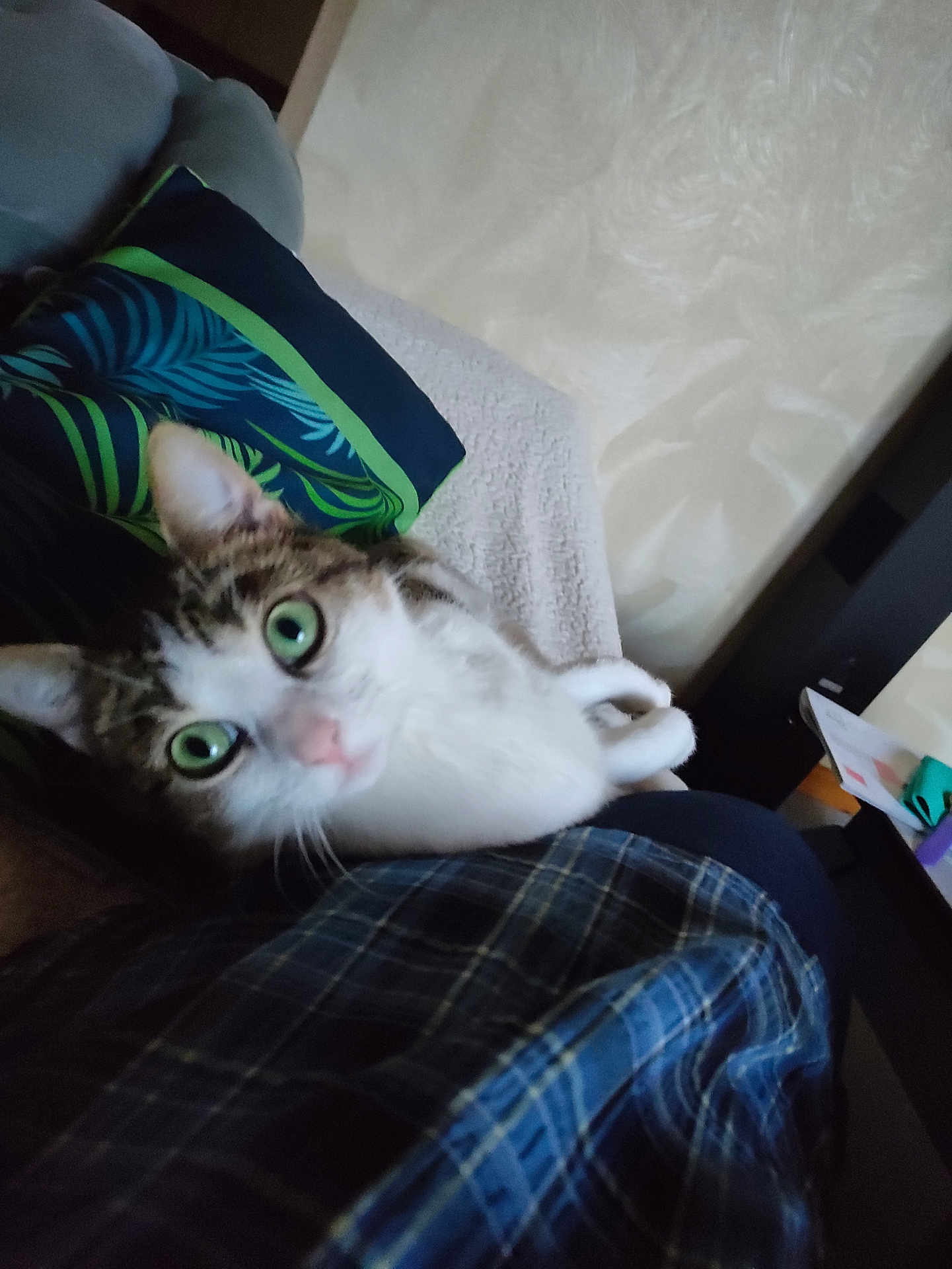 Tichat