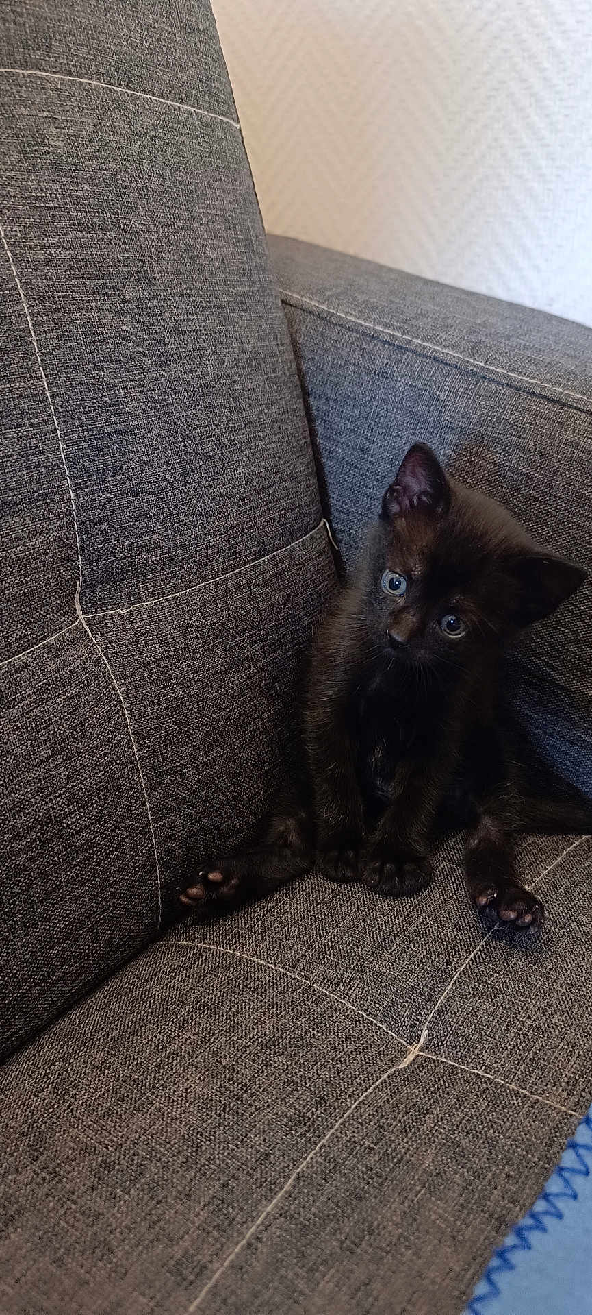 Paco