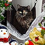 Noisette participe au concours pour gagner de l'argent avec cette photo : cat, tortoiseshell, hammock, indoor, cozy, christmas, festive, snowman, holly, bird, decoration, cartoon_cat, red_bow, greenery, holiday, winter, cute, fluffy, pet, relaxed