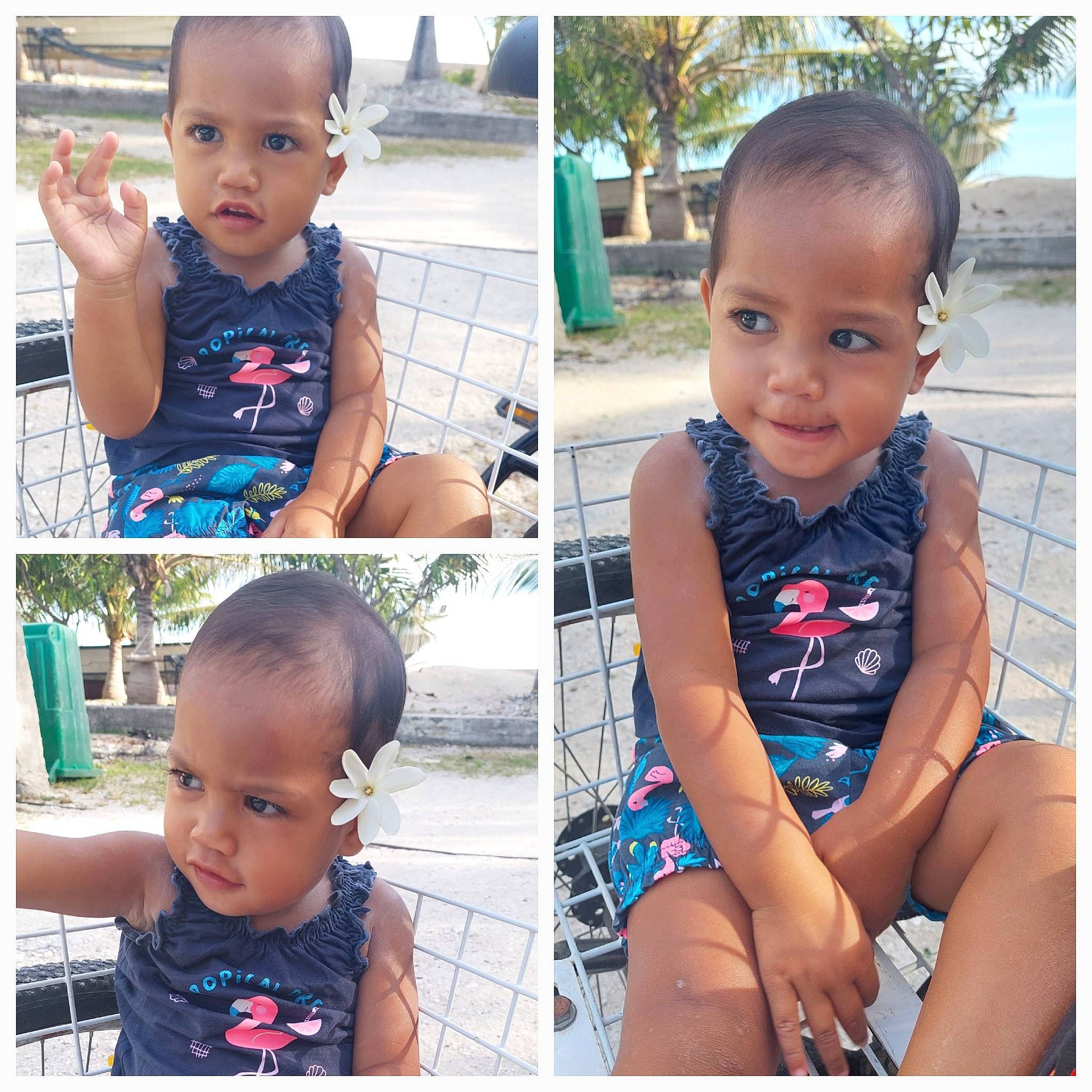 Nonomaehau a rejoint le concours — aidez-le/la à gagner de superbes lots ! arm, baby_toddler_clothing, black, blue, chin, ear, face, green, hairstyle, hand, head, muscle, neck, organ, outerwear, person, photograph, plant, product, shoulder