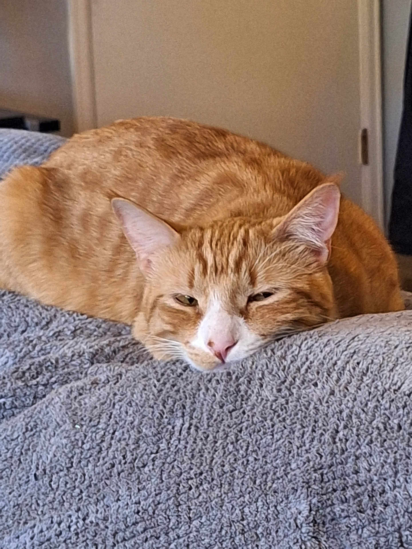 Rusty