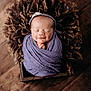 Adelaide joined the competition — help win amazing prizes! newborn, baby, sleeping, wrapped, purple_blanket, headband, flower, wooden_box, curly_fabric, halo_effect, peaceful, portrait, indoor, soft_texture, floor, closeup, infant, cute, resting, cozy