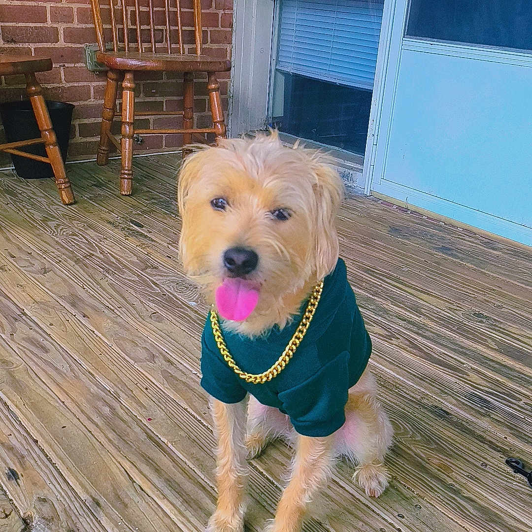 Prince
