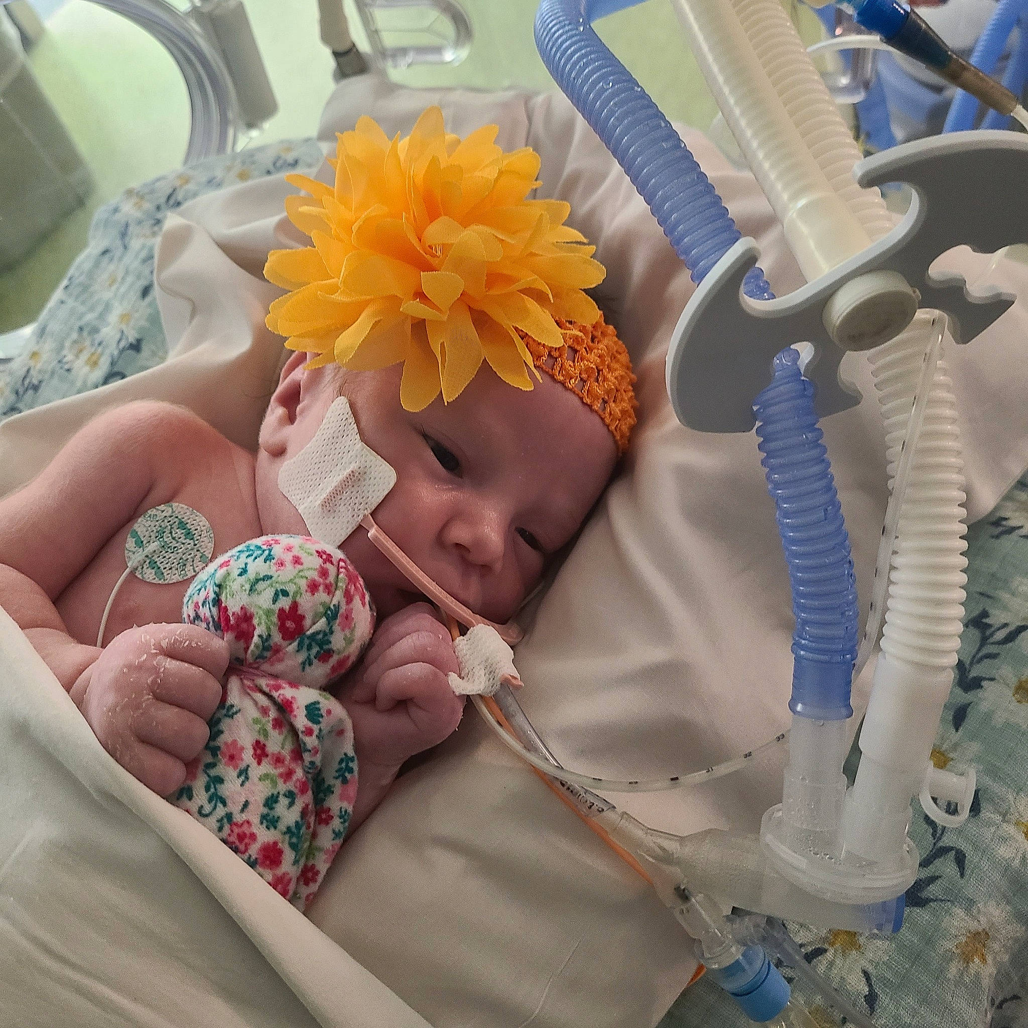 Cora joined the competition — help win amazing prizes! baby, baby_products, baby_sleeping, baby_toddler_clothing, bedtime, child, comfort, electric_blue, fashion_accessory, flower, headgear, linens, machine, nap, person, room, sleep, stuffed_toy, textile, thumb