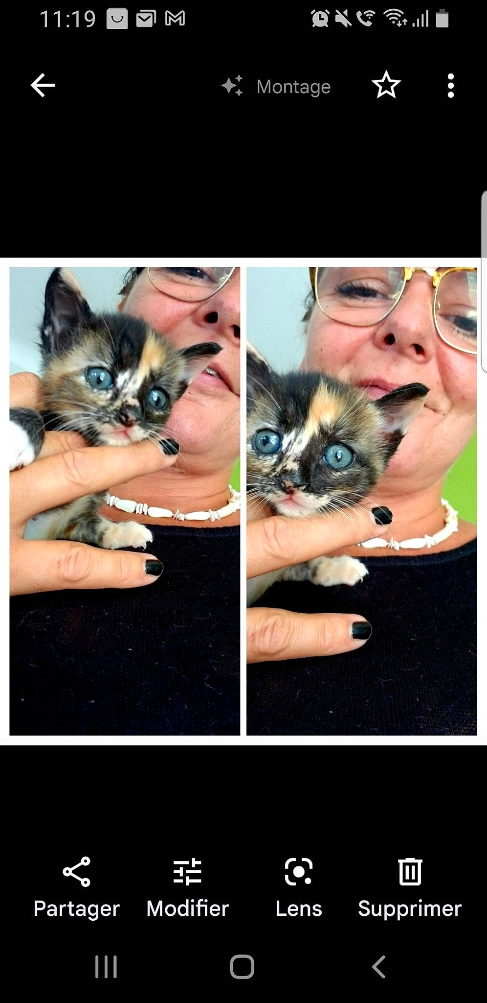 Mixie participe au concours pour gagner de l'argent avec cette photo : carnivore, cat, collage, eyelash, fawn, felidae, finger, gesture, happy, iris, mammal, nail, nose, organ, organism, photo_caption, small_to_medium_sized_cats, snout, vertebrate, whiskers