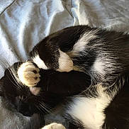 Luna is registered to the contest to win money with this photo: