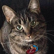 Chiquita is registered to the contest to win money with this photo: