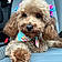 Roxie