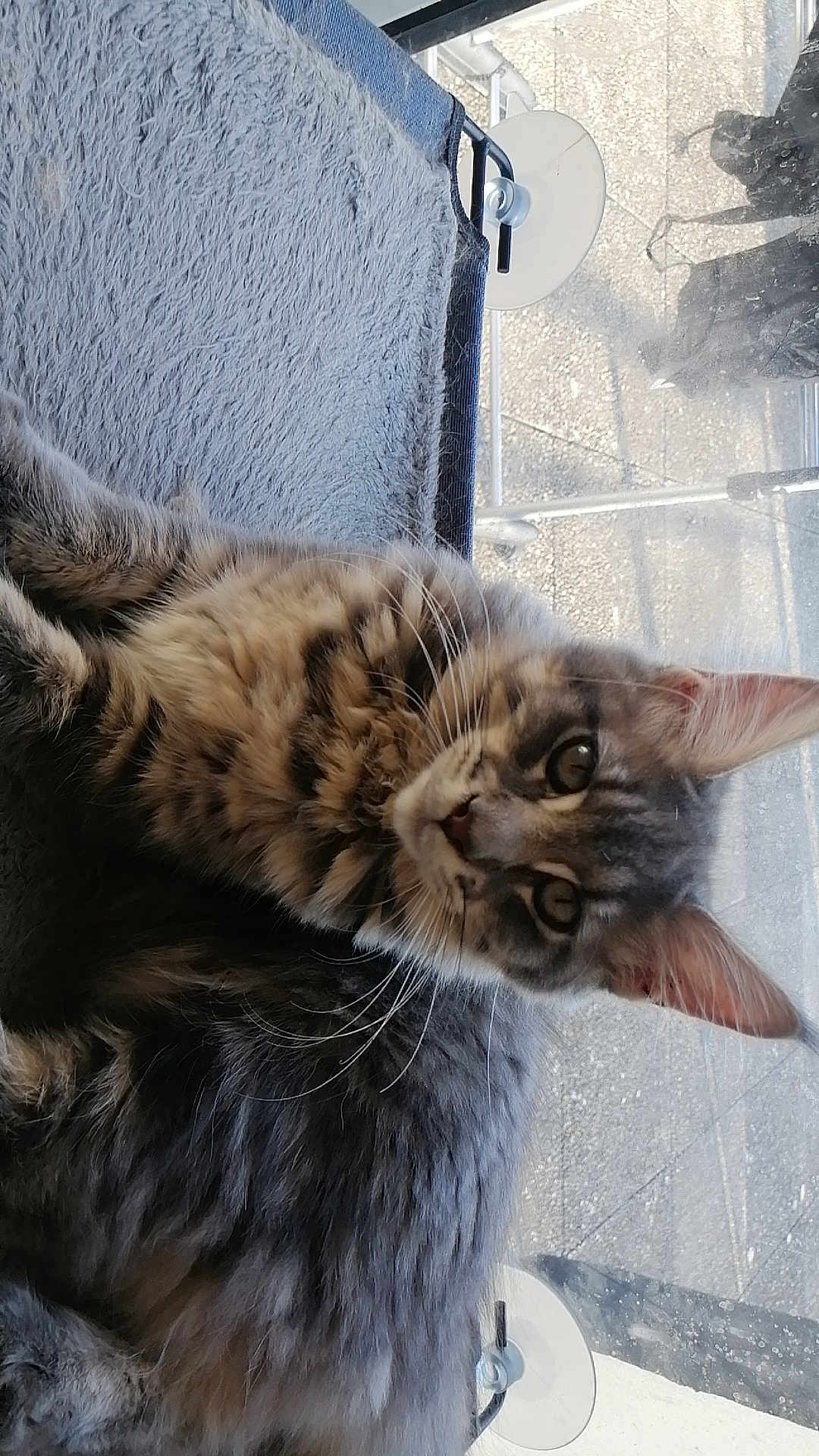 Upsylone Des Embruns Iodes