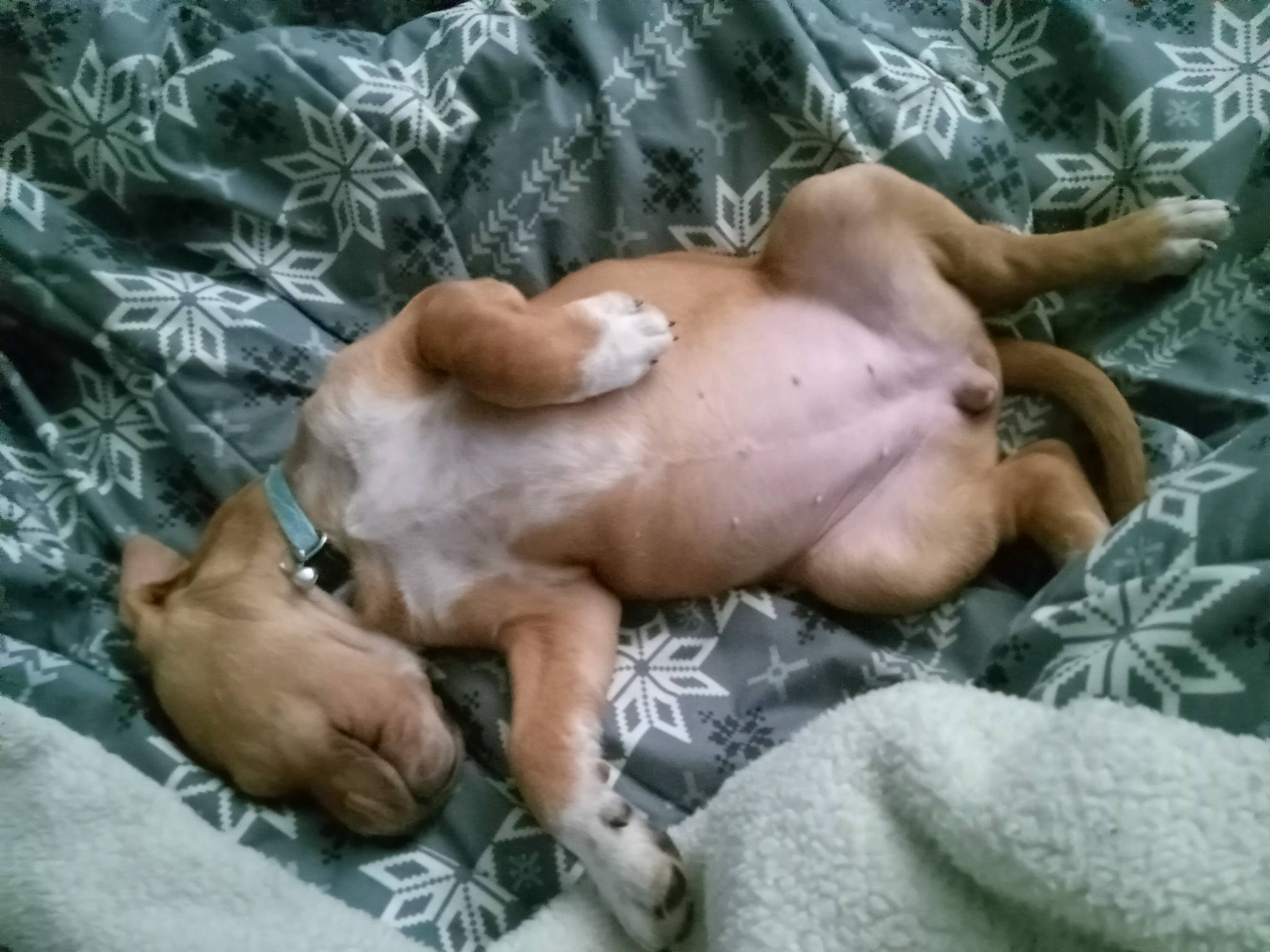 Shylo is registered to the contest to win money with this photo: abdomen, art, barechested, barefoot, bathing, chest, comfort, fawn, flesh, foot, human_leg, toe, trunk