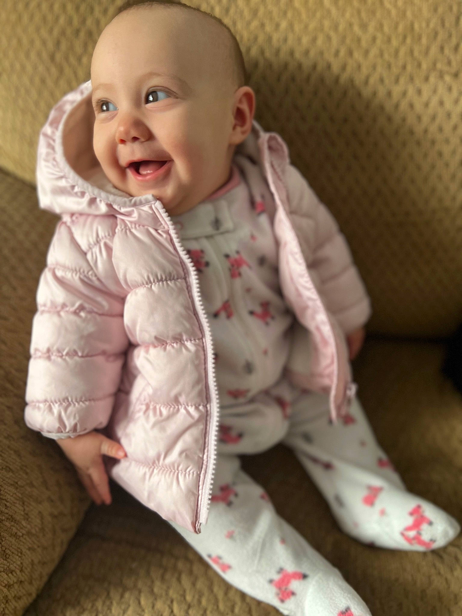 Dahlia joined the competition — help win amazing prizes! baby, baby_toddler_clothing, cheek, child, collar, comfort, face, happy, head, lip, nose, outerwear, person, pink, sitting, skin, sleeve, smile, standing, textile