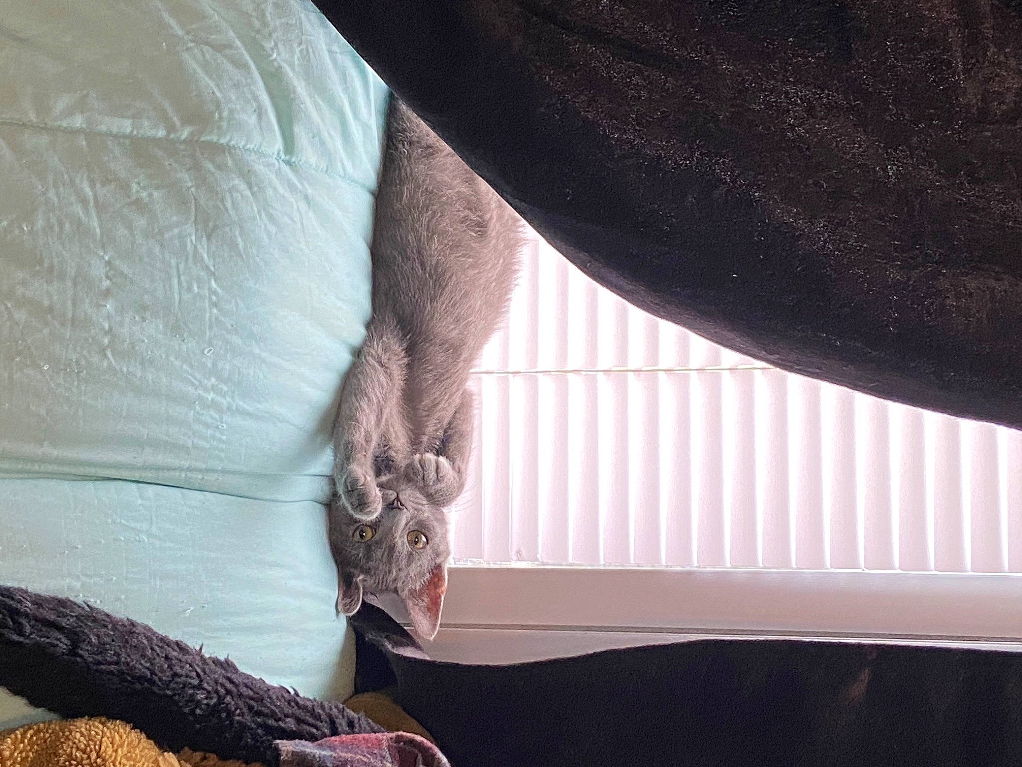 Reaper is registered to the contest to win money with this photo: abdomen, automotive_tire, comfort, elbow, flooring, foot, human_body, human_leg, knee, leg, linens, nail, pattern, textile, thigh, tints_and_shades, waist, wood, wool, wrist