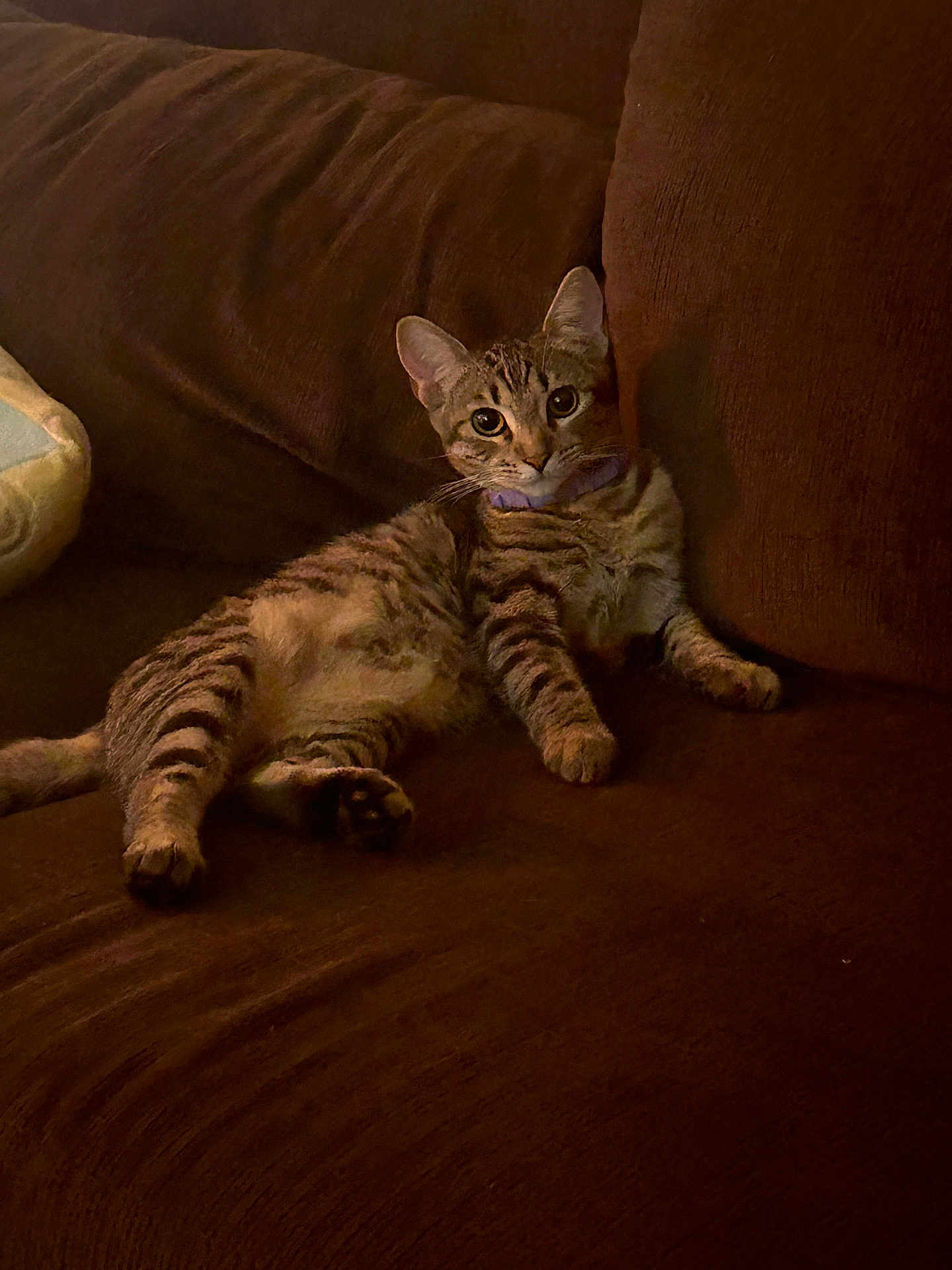 Nala