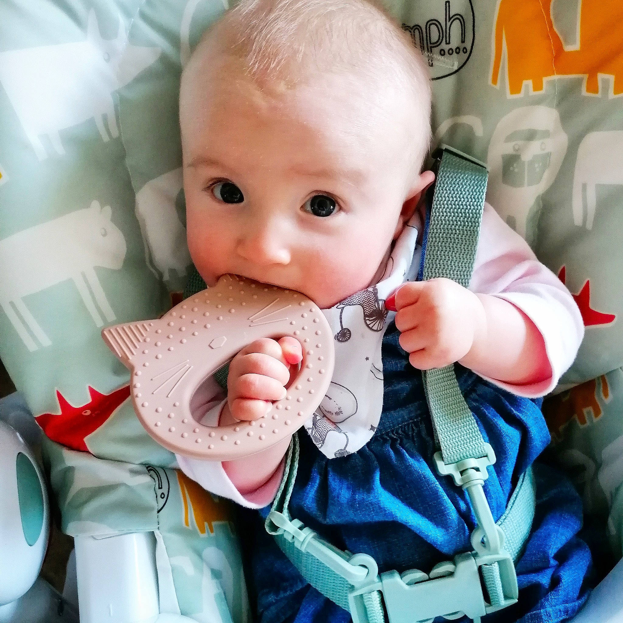 Clementine is registered to the contest to win money with this photo: baby, baby_products, baby_sleeping, baby_toddler_clothing, cheek, child, comfort, cool, eye, eyelash, gesture, happy, human_body, iris, linens, mouth, person, pink, skin, sleeve