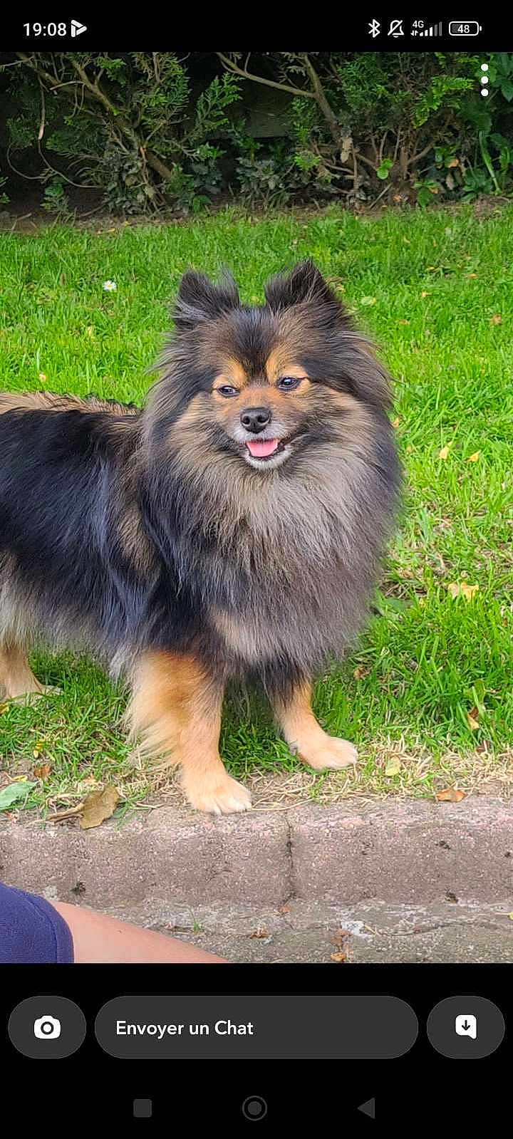 Izzie