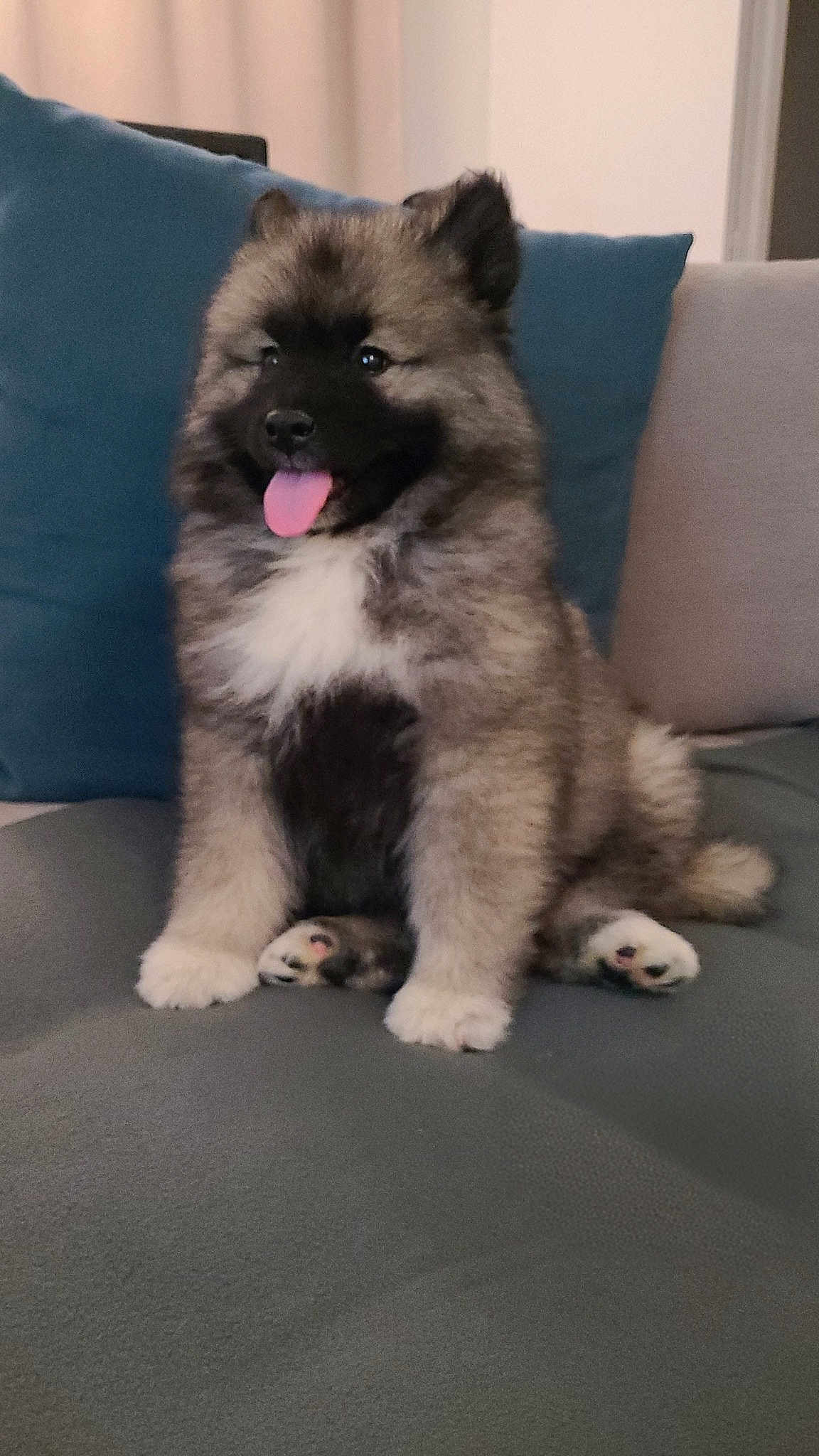 Saïko