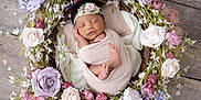 Maiya joined the competition — help win amazing prizes! newborn, baby, sleeping, wrapped, flower_crown, floral_wreath, pink, purple, white, pastel, soft, peaceful, cute, infant, portrait, delicate, resting, headband, wooden_floor, cozy