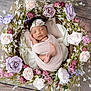 newborn, baby, sleeping, wrapped, flower_crown, floral_wreath, pink, purple, white, pastel, soft, peaceful, cute, infant, portrait, delicate, resting, headband, wooden_floor, cozy