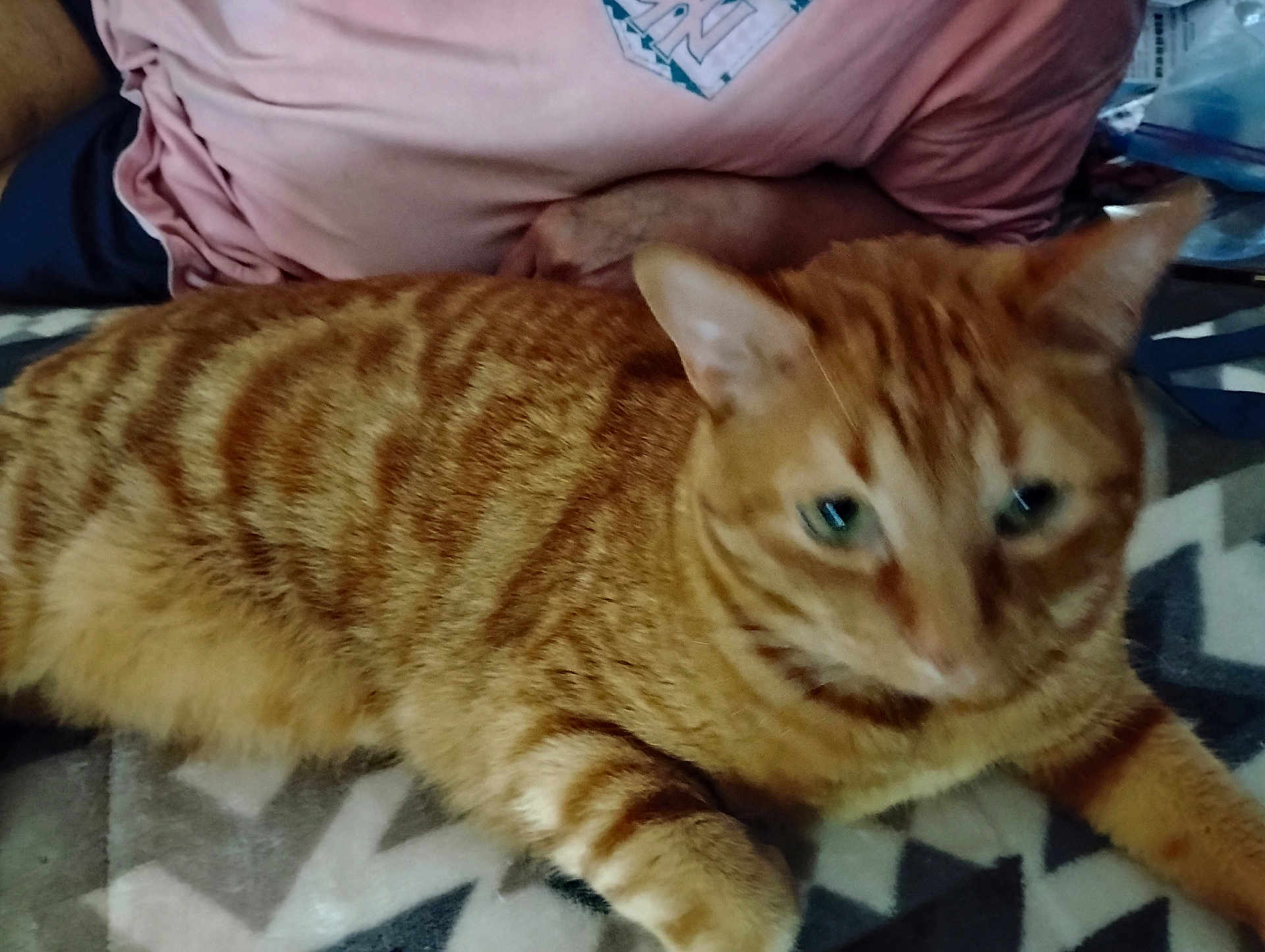 Tom