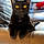 Binx