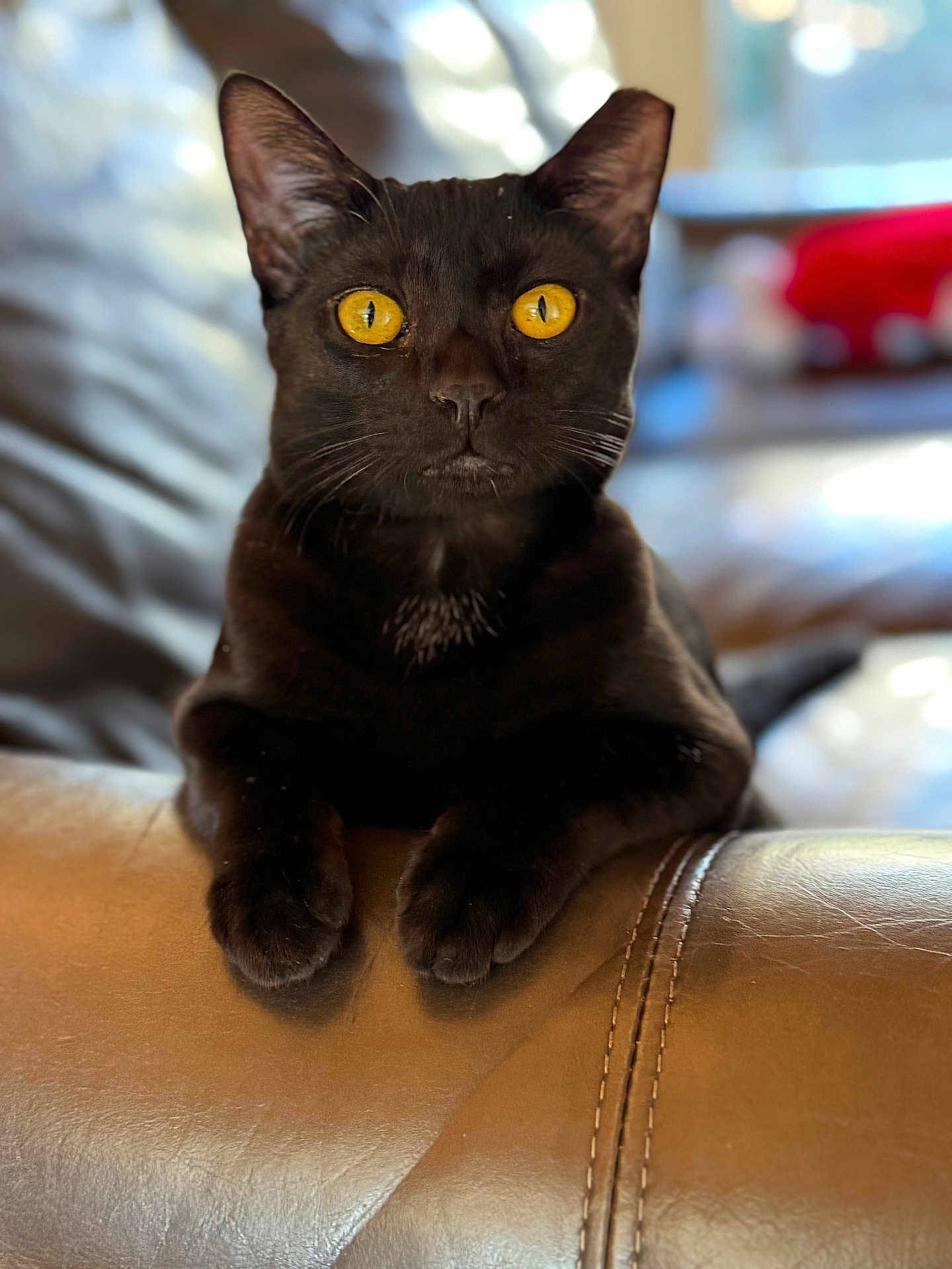 Binx