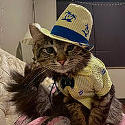 Theo joined the competition — help win amazing prizes! animal, bow_tie, cat, costume, couch, cute, decor, domestic_cat, fur, furniture, hat, indoor, lamp, pet, portrait, sitting, striped, tabby, whiskers, yellow_clothing