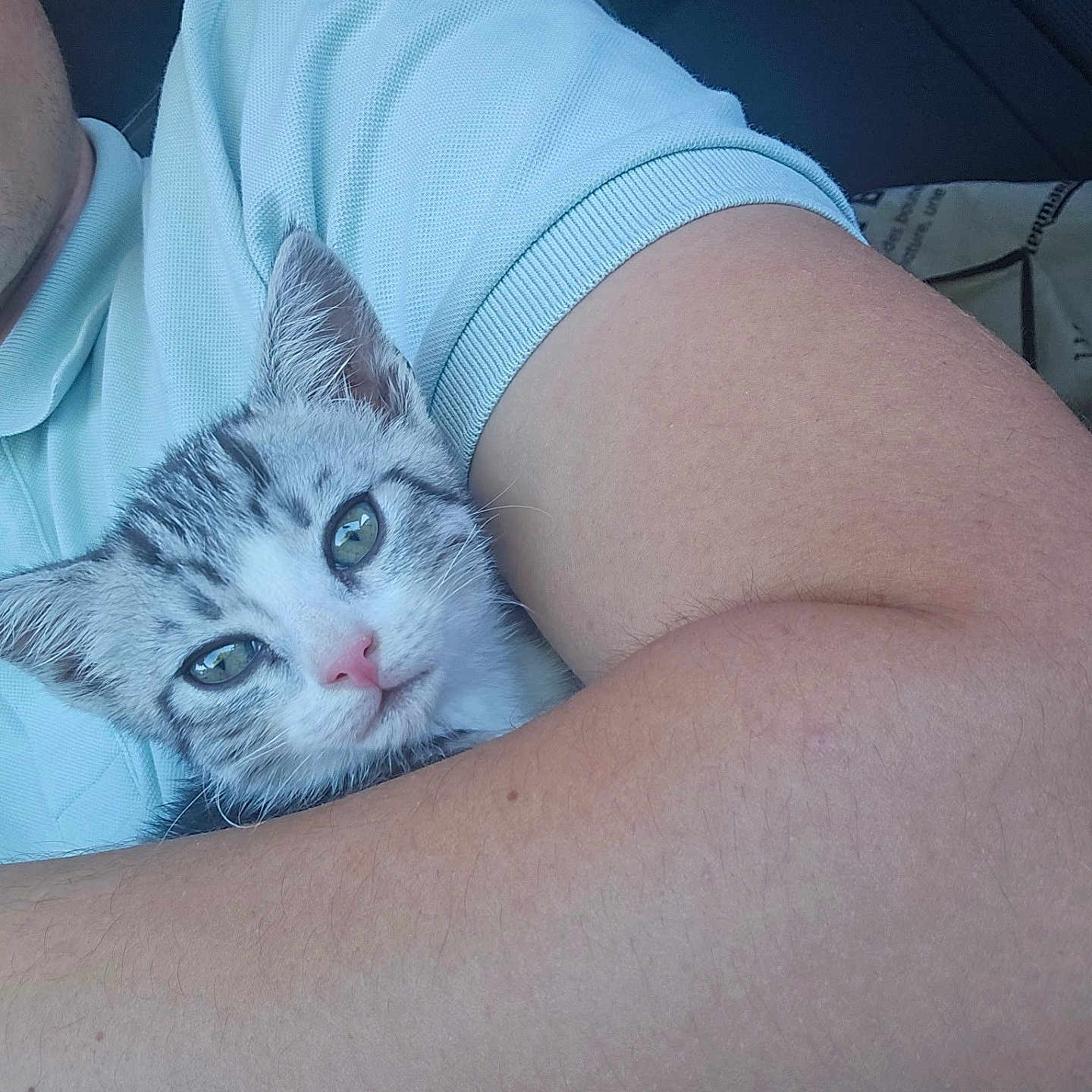 Nala